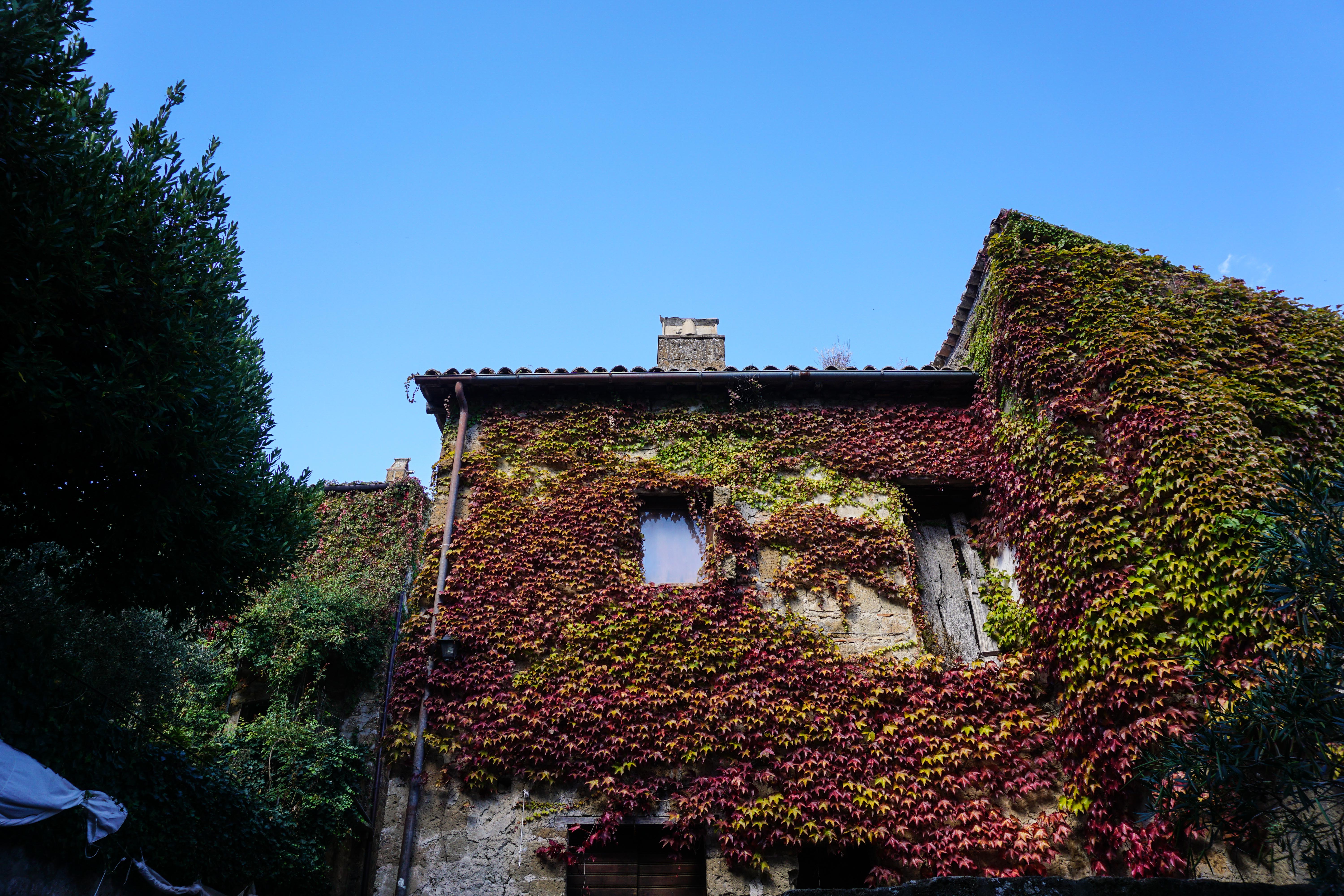 Autumn Torino