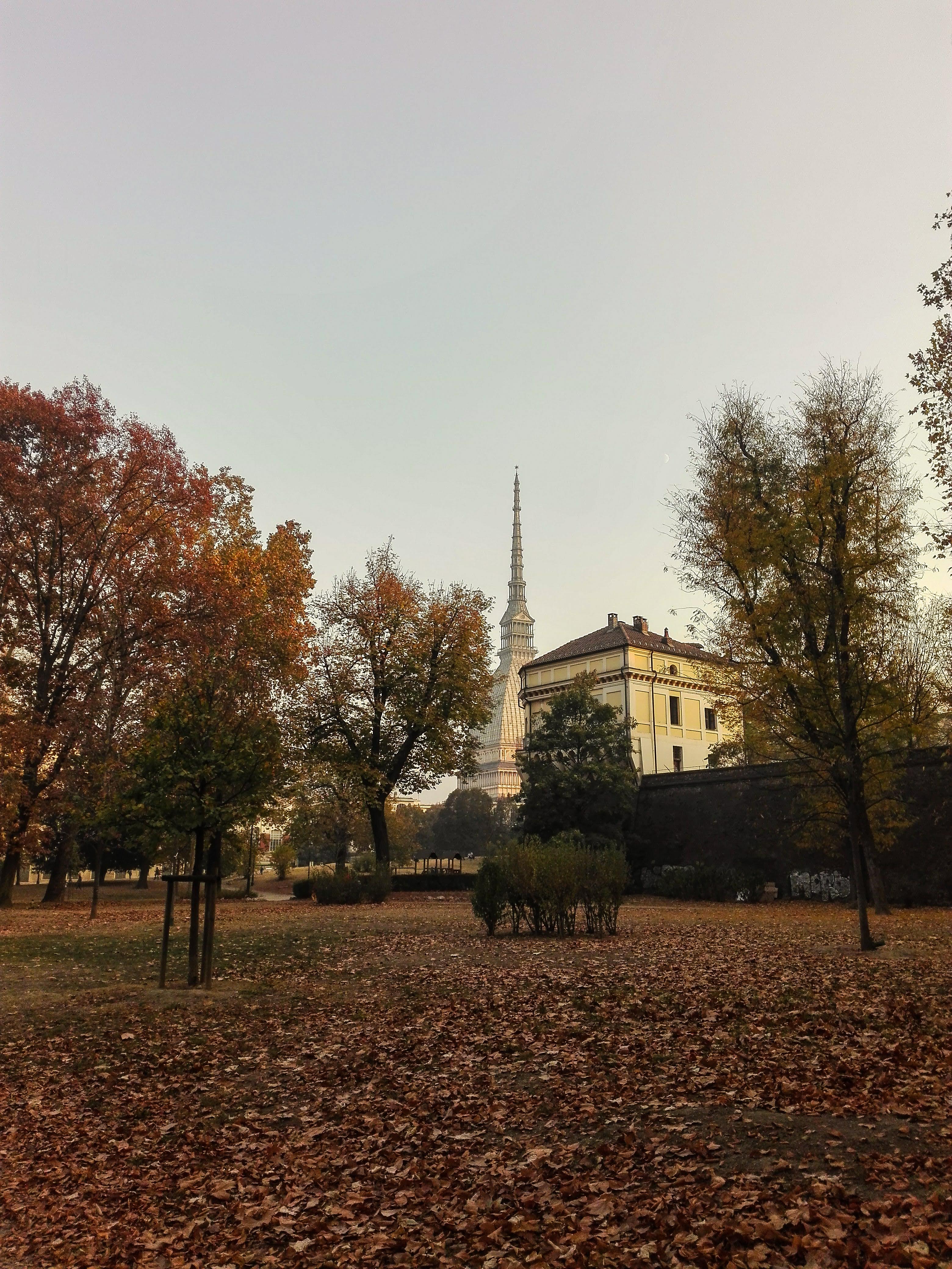 Autumn Torino Giardini Reale