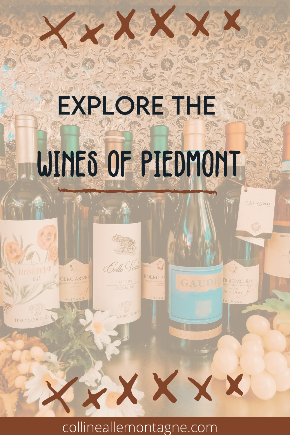 explore the wines of piedmont