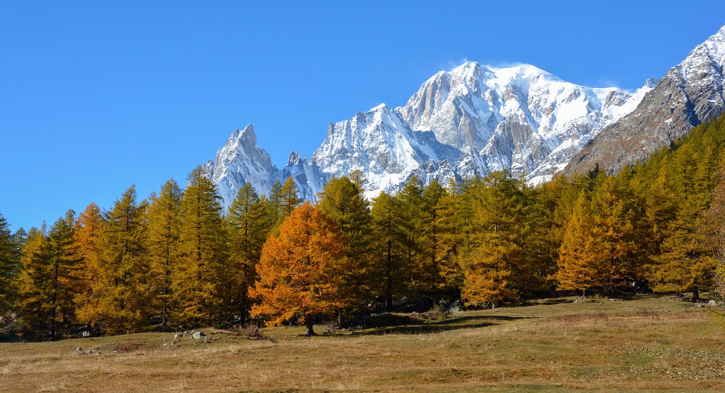 fall foliage in italy under monblanc